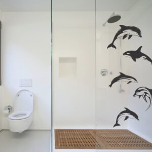 Delfines y Ballenas