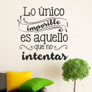 Lo único imposible es aquello que no intentas